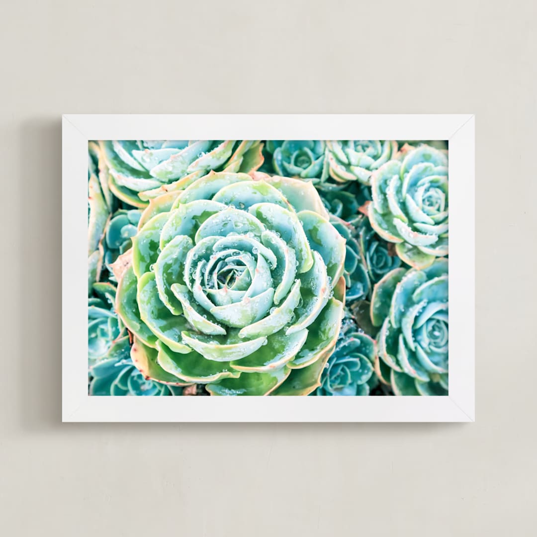 "Morning Succulent" - Art Print in Aqua by Debra Butler - Framed