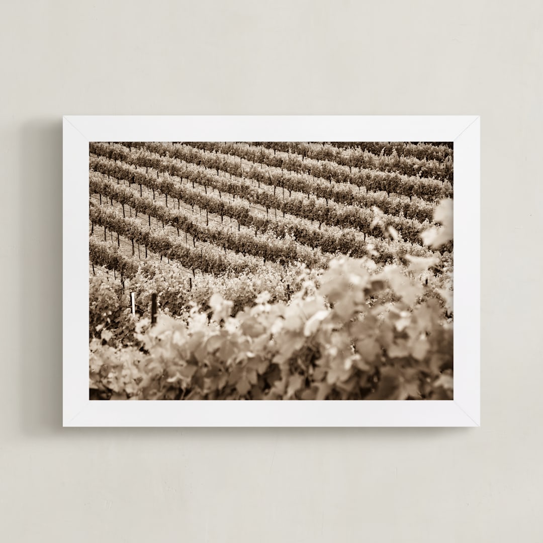 "Vineyard Seasons: June  No. 1" - Art Print in Warm Sepia by Shannon Howard - Framed