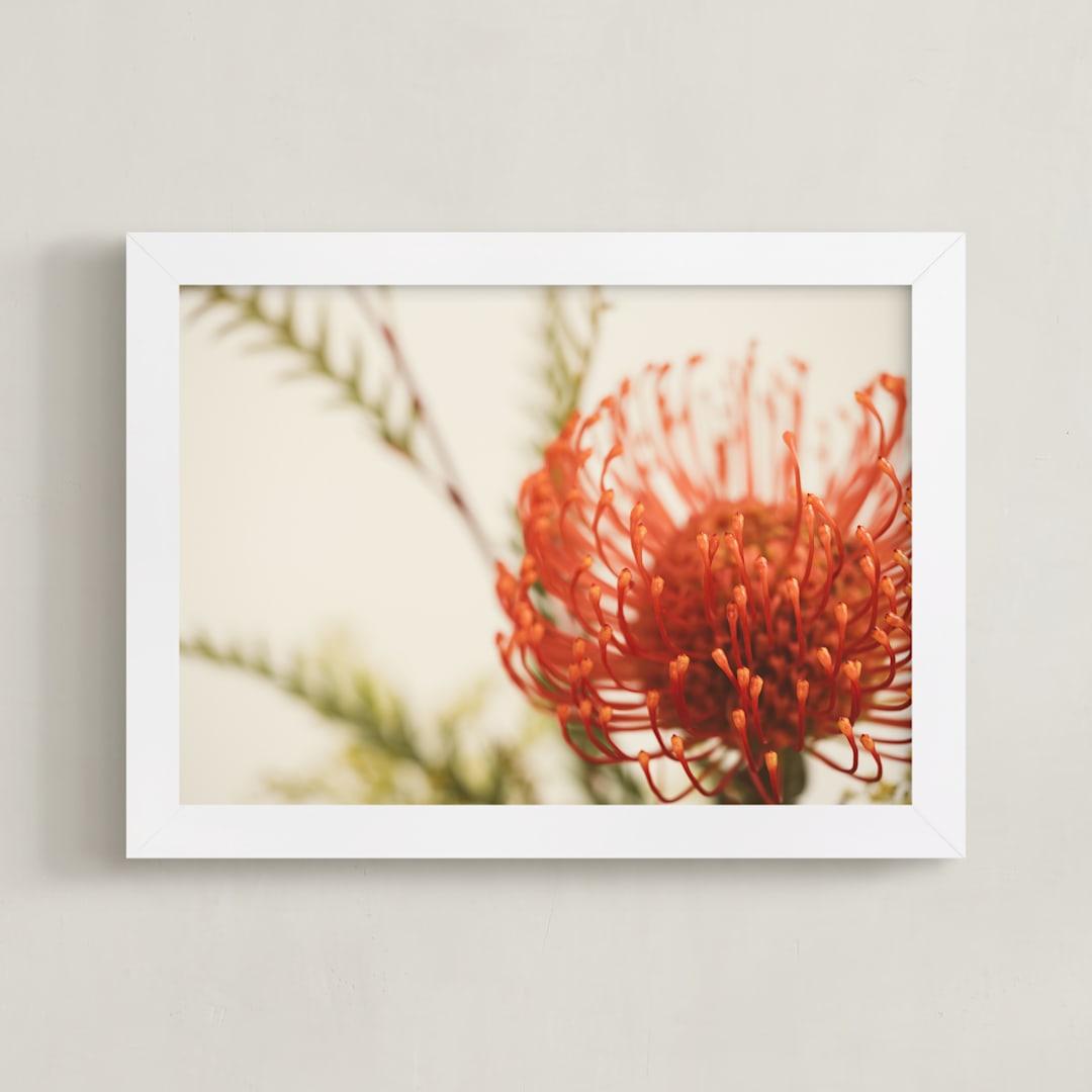"Protea 4" - Art Print in tangerine by Kamala Nahas - Framed