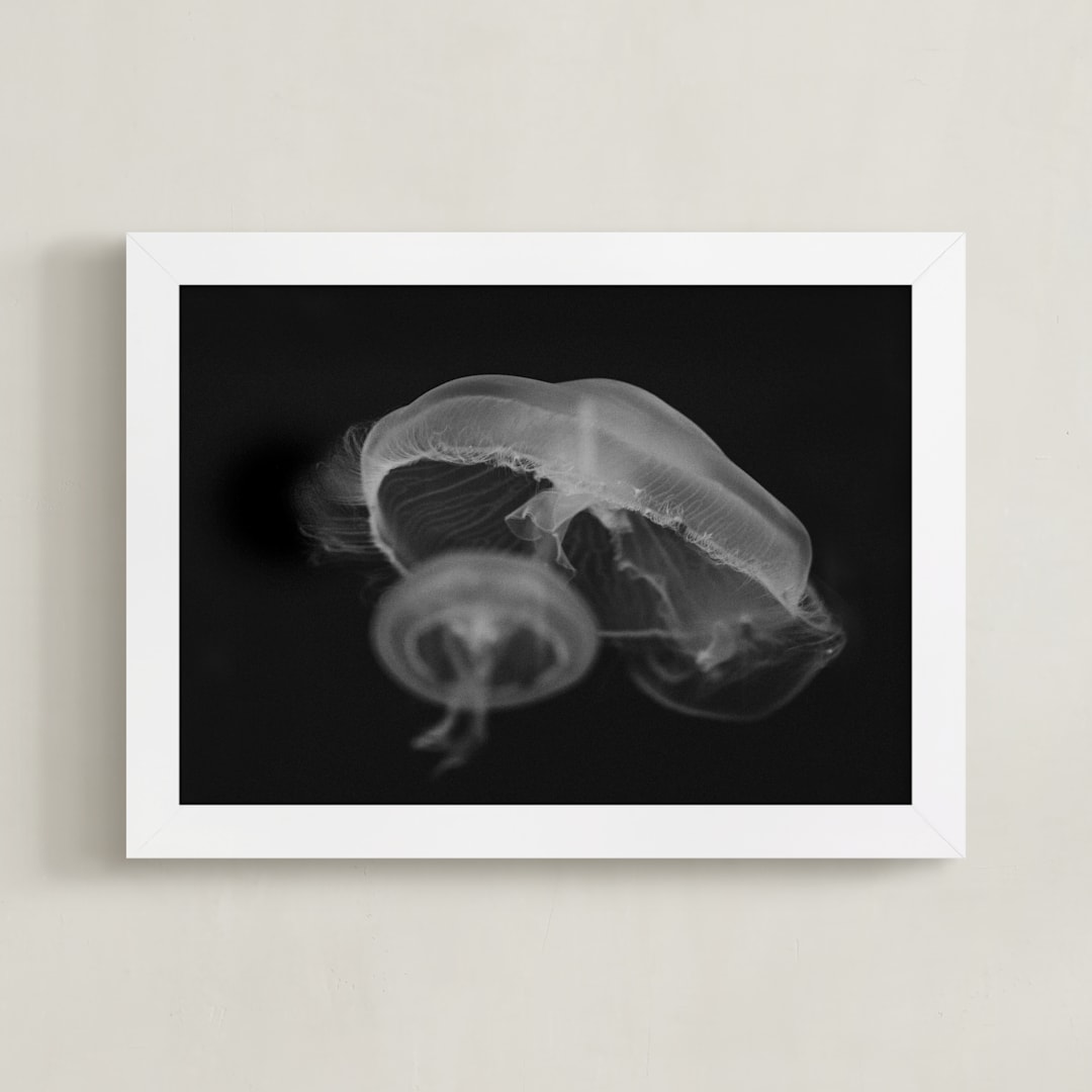 "Graceful Jelly" - Art Print in Smolder Black by Hollie Renner Photography - Framed