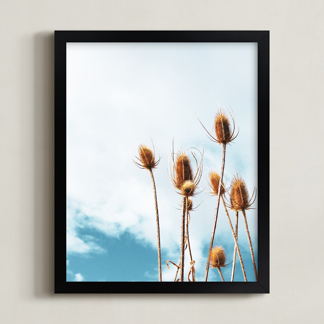 "Sun Dried Thistle" - Art Print in Quiet Sea Blue by Elky Ink - Framed