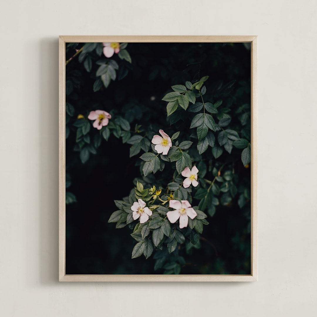 "Moody white roses" - Art Print in deep green by Hanke Arkenbout - Framed