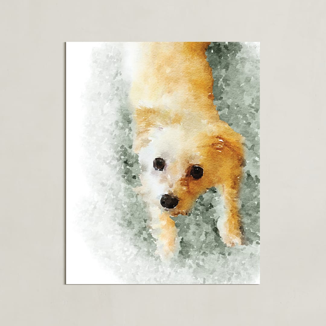 "Custom Pet Portrait" - Custom Print in White by Minted - Unframed