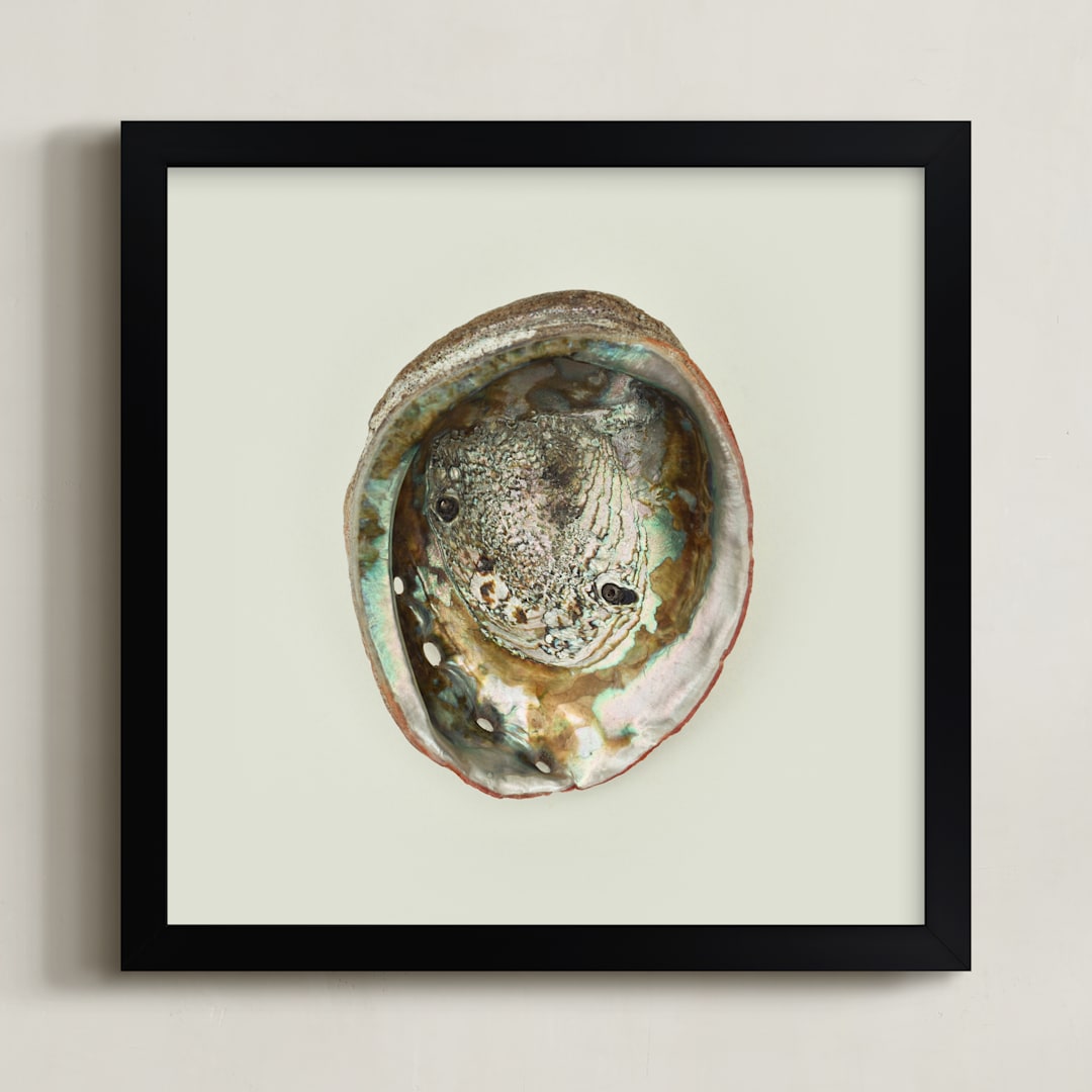"Abalone Shell" - Art Print in Natural by Field and Sky - Framed