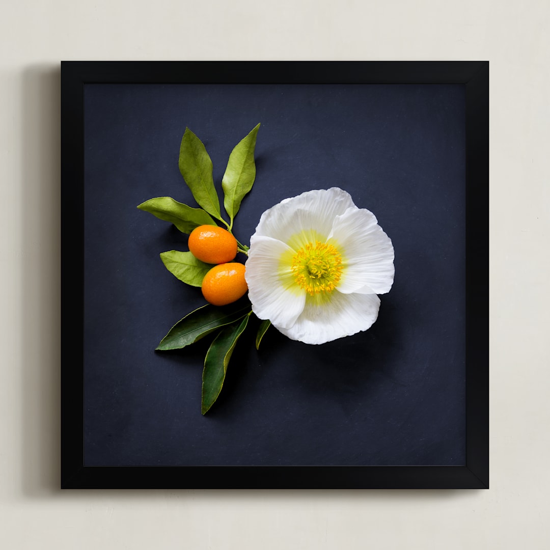 "Bold and Botanical No. 1" - Art Print in Navy Chalkboard by Maddy Hague - Framed