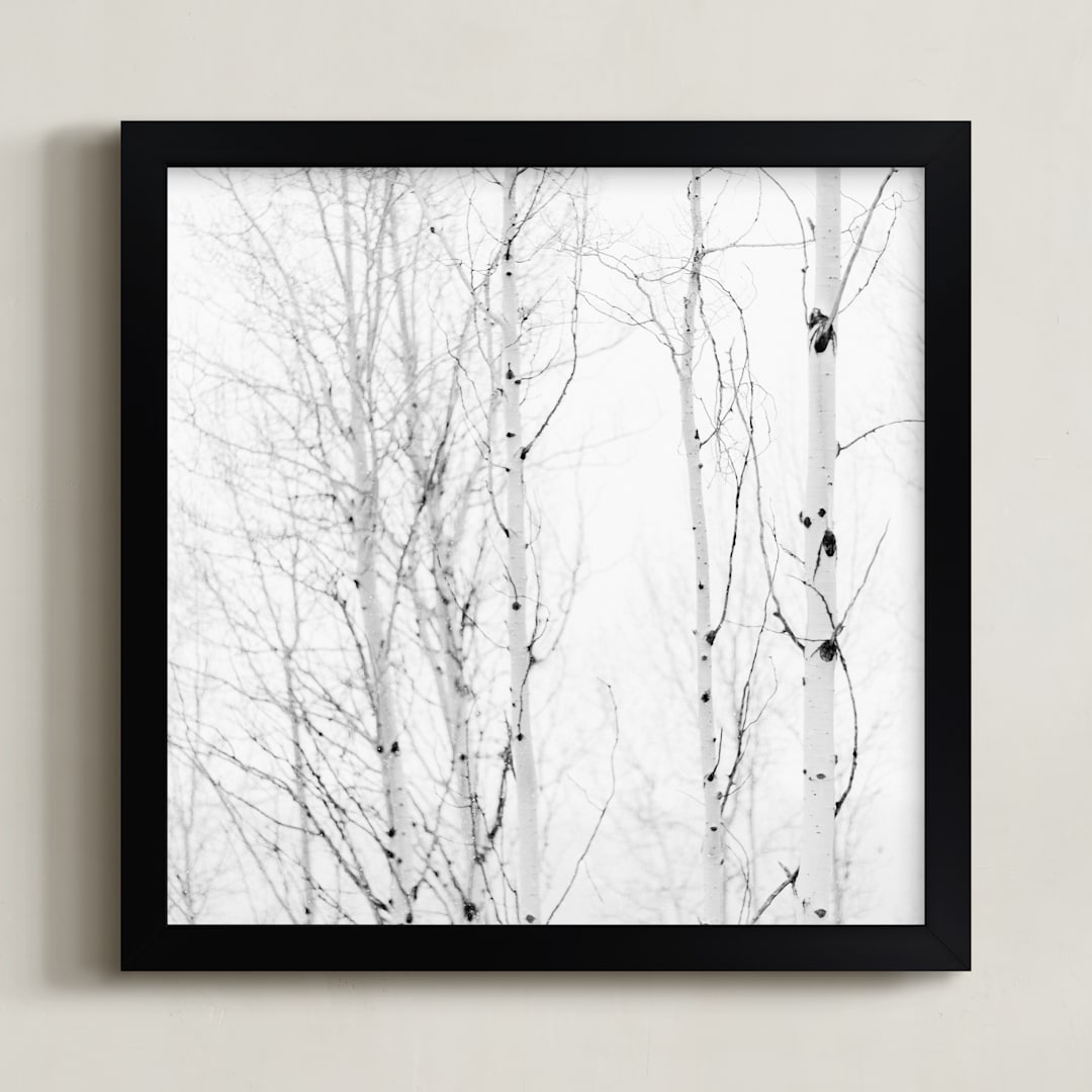 "White Aspens" - Art Print in Black and White by Jessica C Nugent - Framed