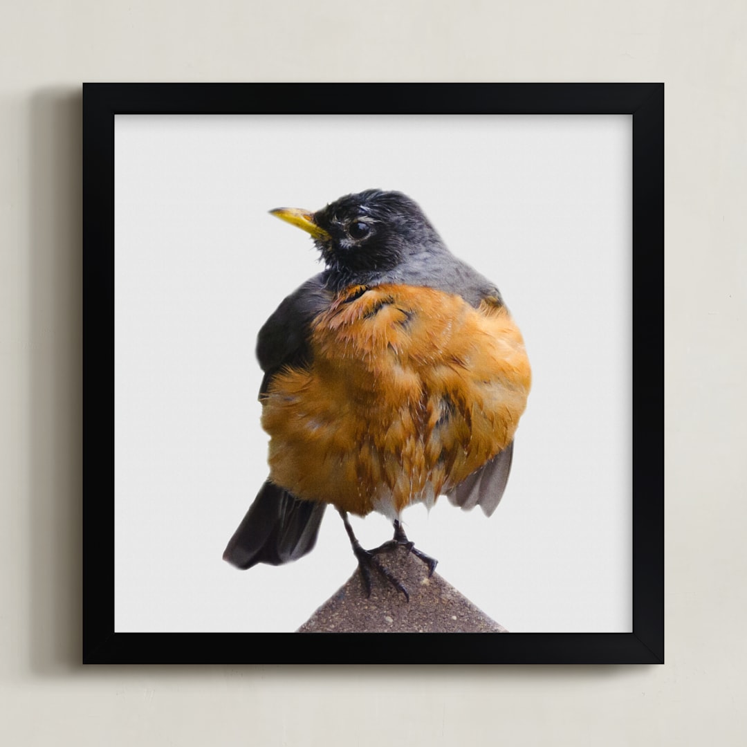 "Wet Bird" - Art Print in Tangerine by Johanna Phillips Huuva - Framed