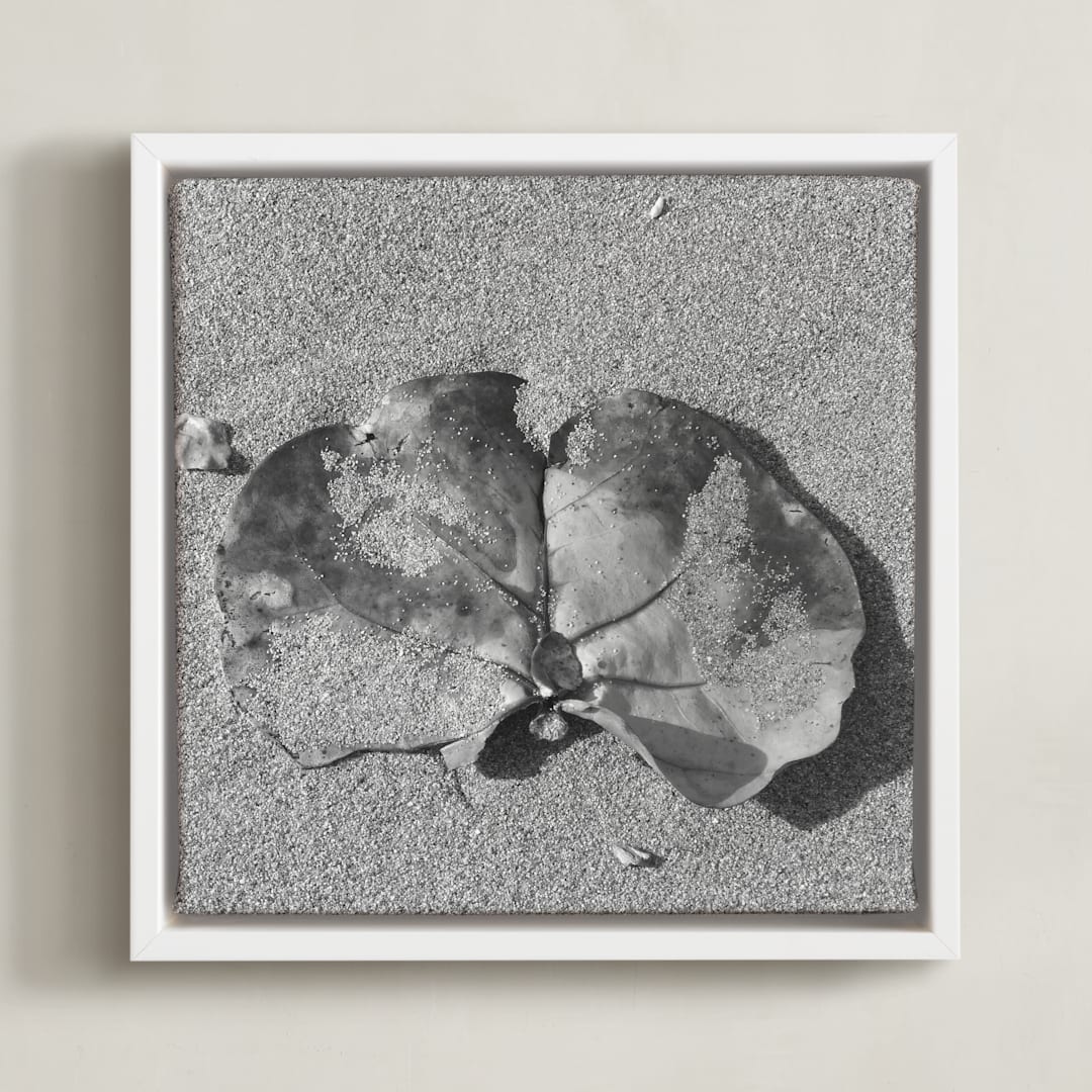 "Don't Worry, Be Happy III" - Art Print in Black and White by Annie Seaton - Framed Canvas