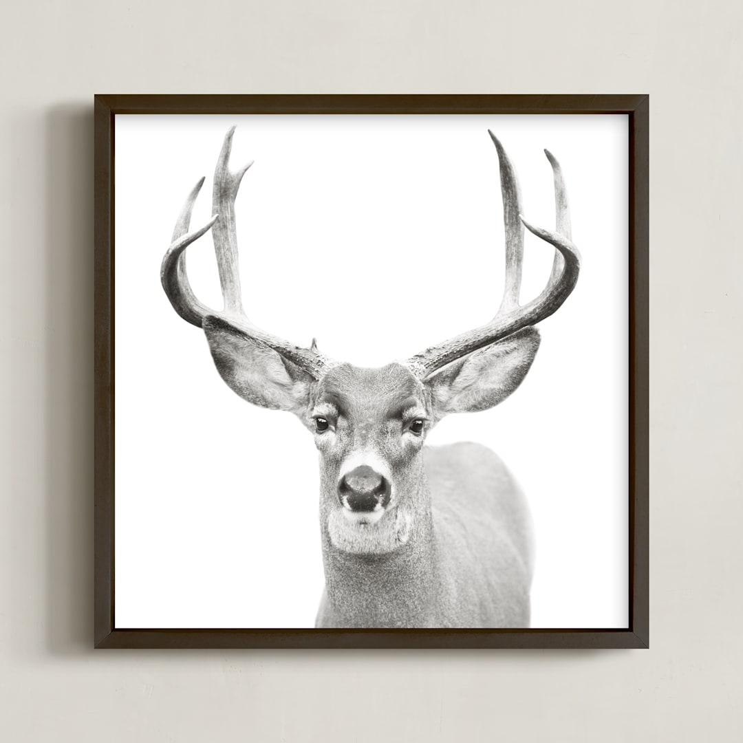 "Buck" - Art Print in Black and White by Stephanie Sherman - Framed