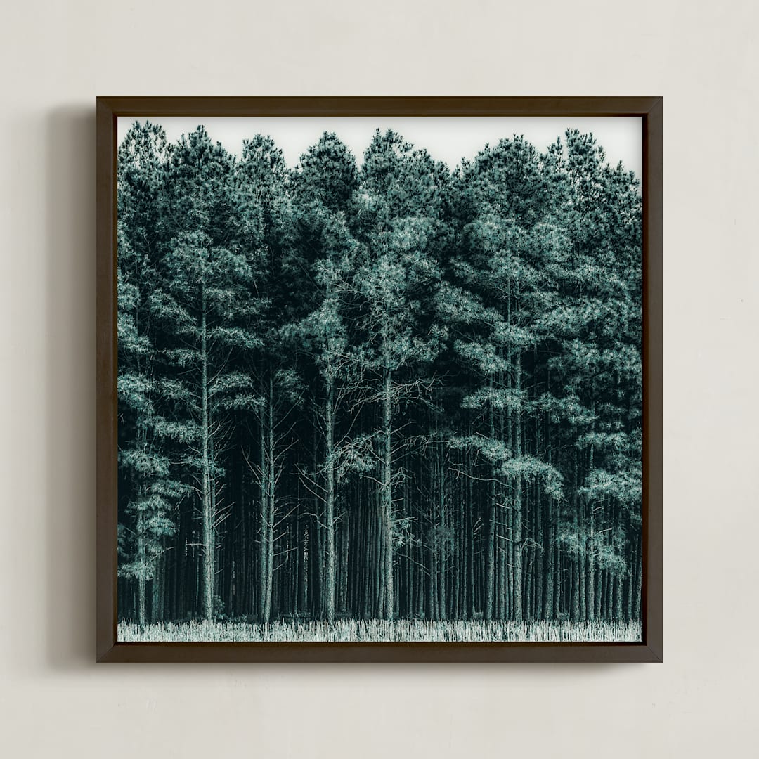 "through the trees" - Art Print in Pine by Keely Norton Owendoff - Framed