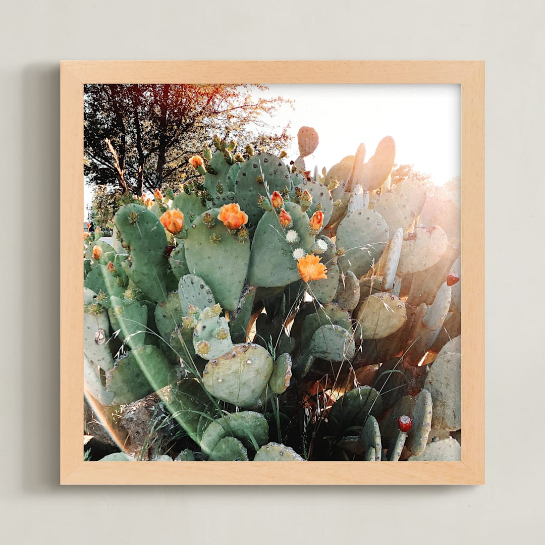 "West Texas Cactai" - Art Print in green by Alison Holcomb - Framed