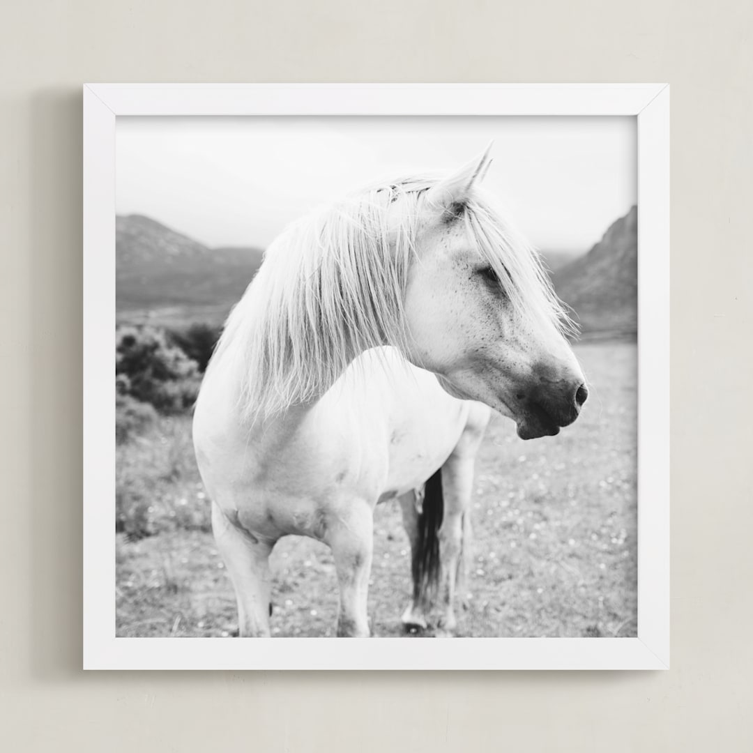 "Field Horse" - Art Print in Black and White by Natalie Uprichard - Framed