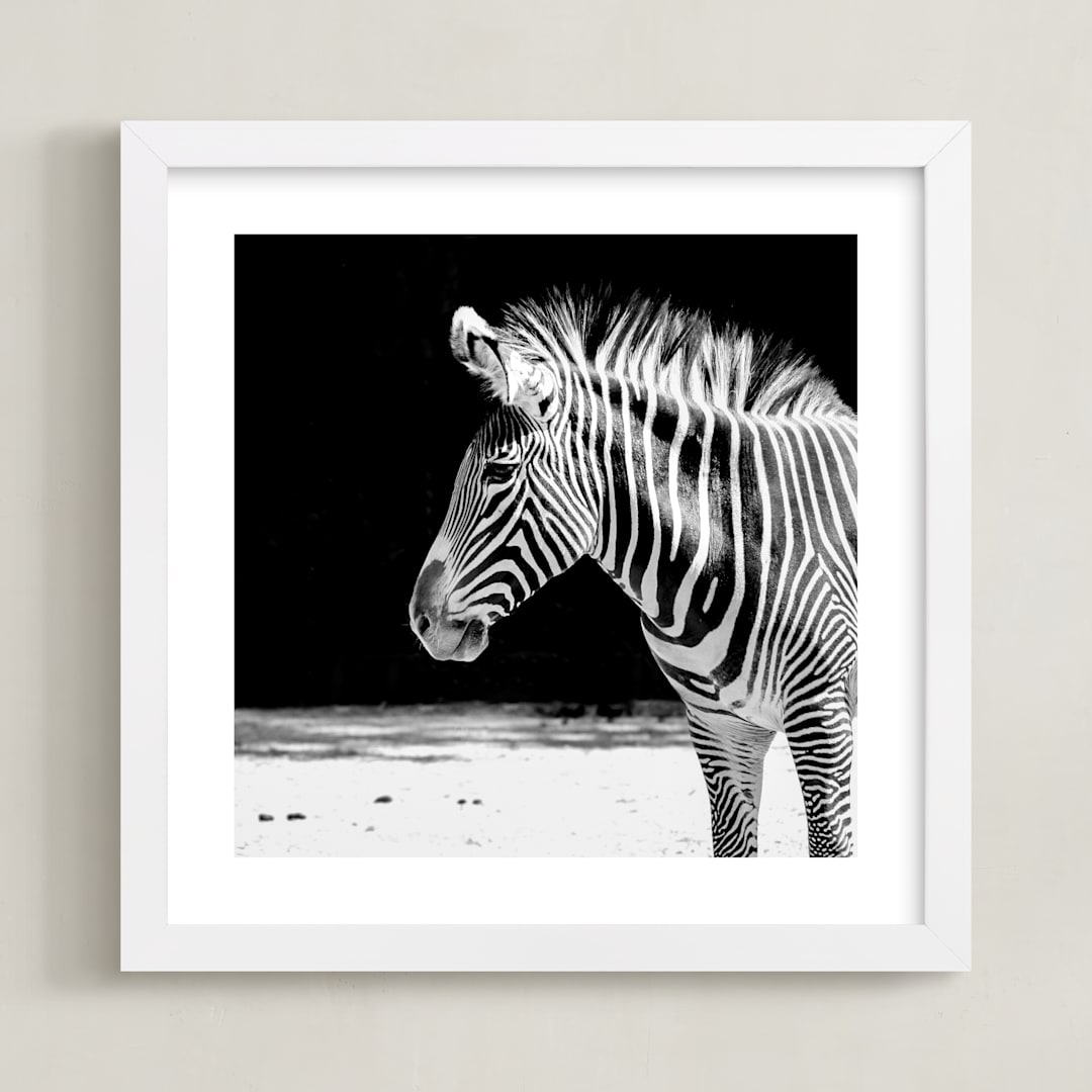 "Zebra" - Art Print in Black and White by Stephanie Sherman - Framed