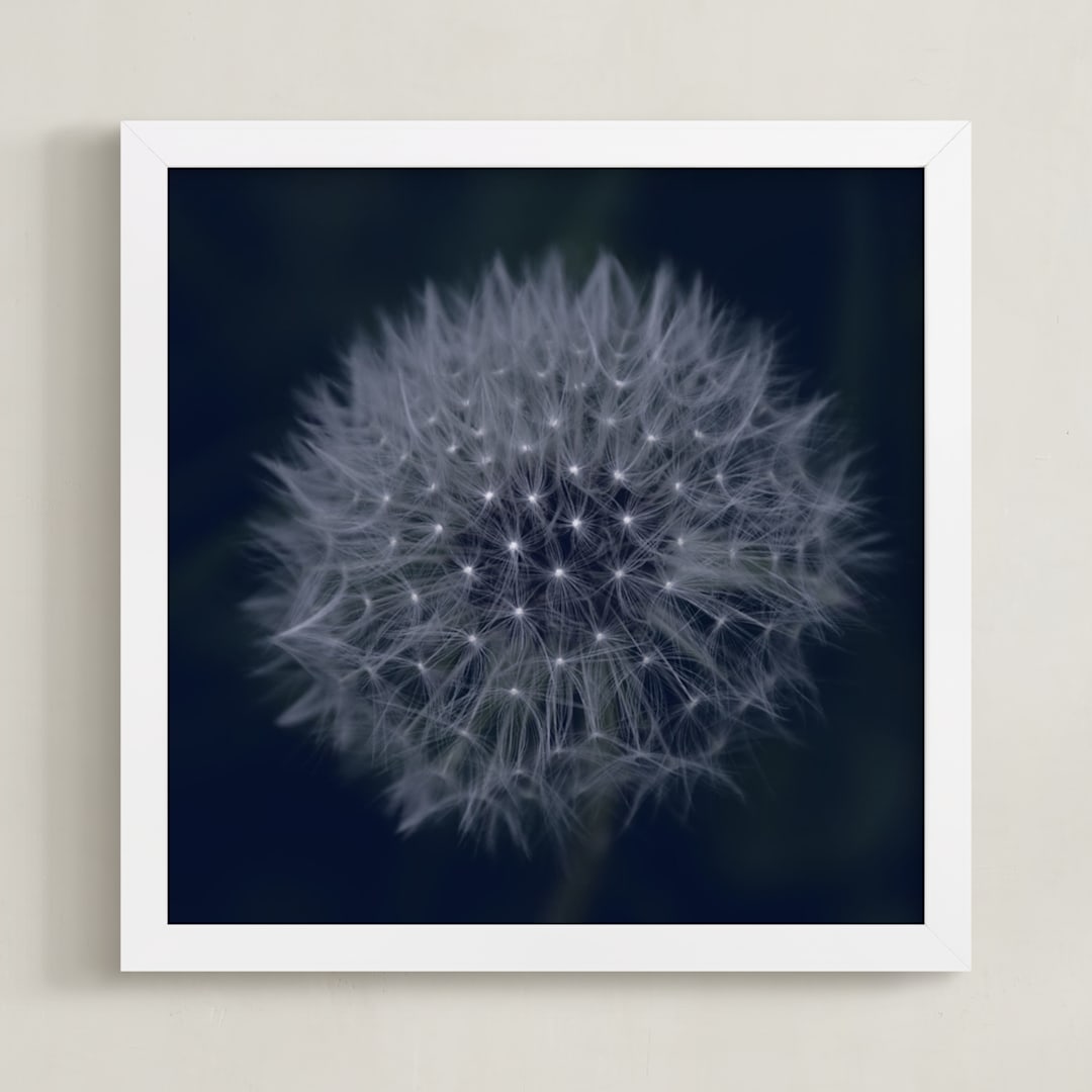 "Dandelion Stars" - Art Print in Midnight Blue by Johanna Phillips Huuva - Framed