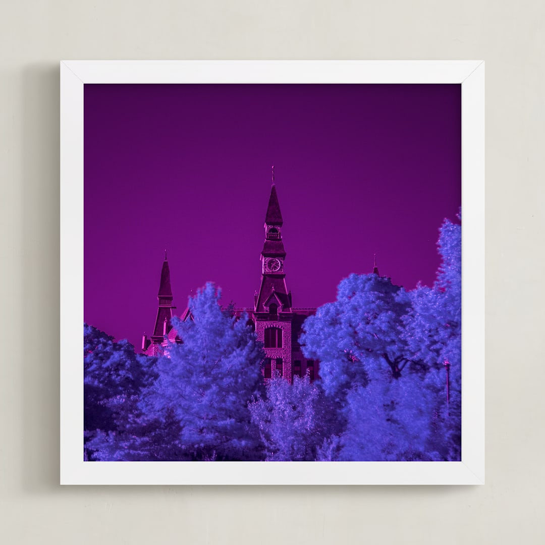 "Infra Park Vibrant" - Art Print in Magenta by Jeff Preuss - Framed