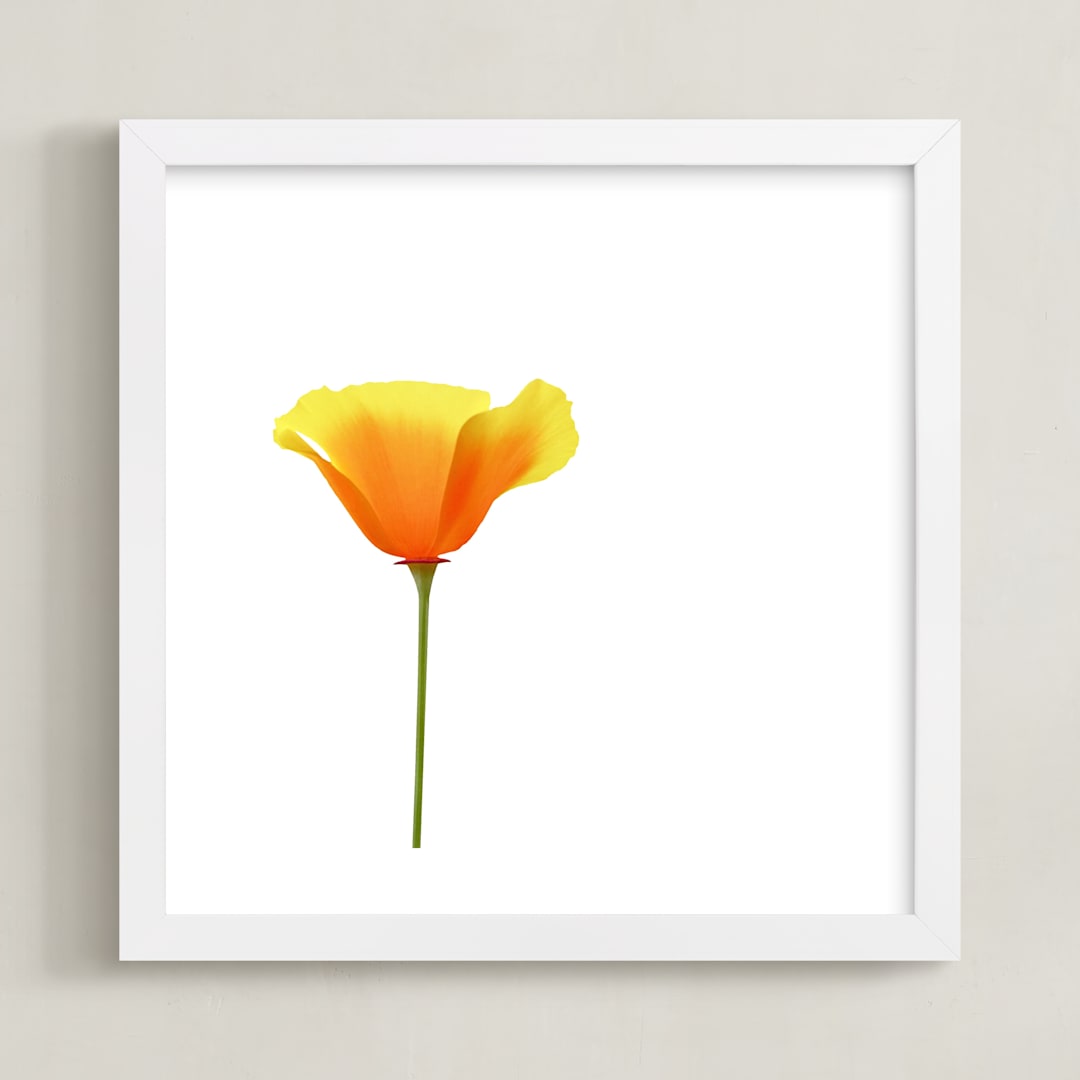 "California Poppy" - Art Print in Sparkling White by Corinne Aelbers - Framed