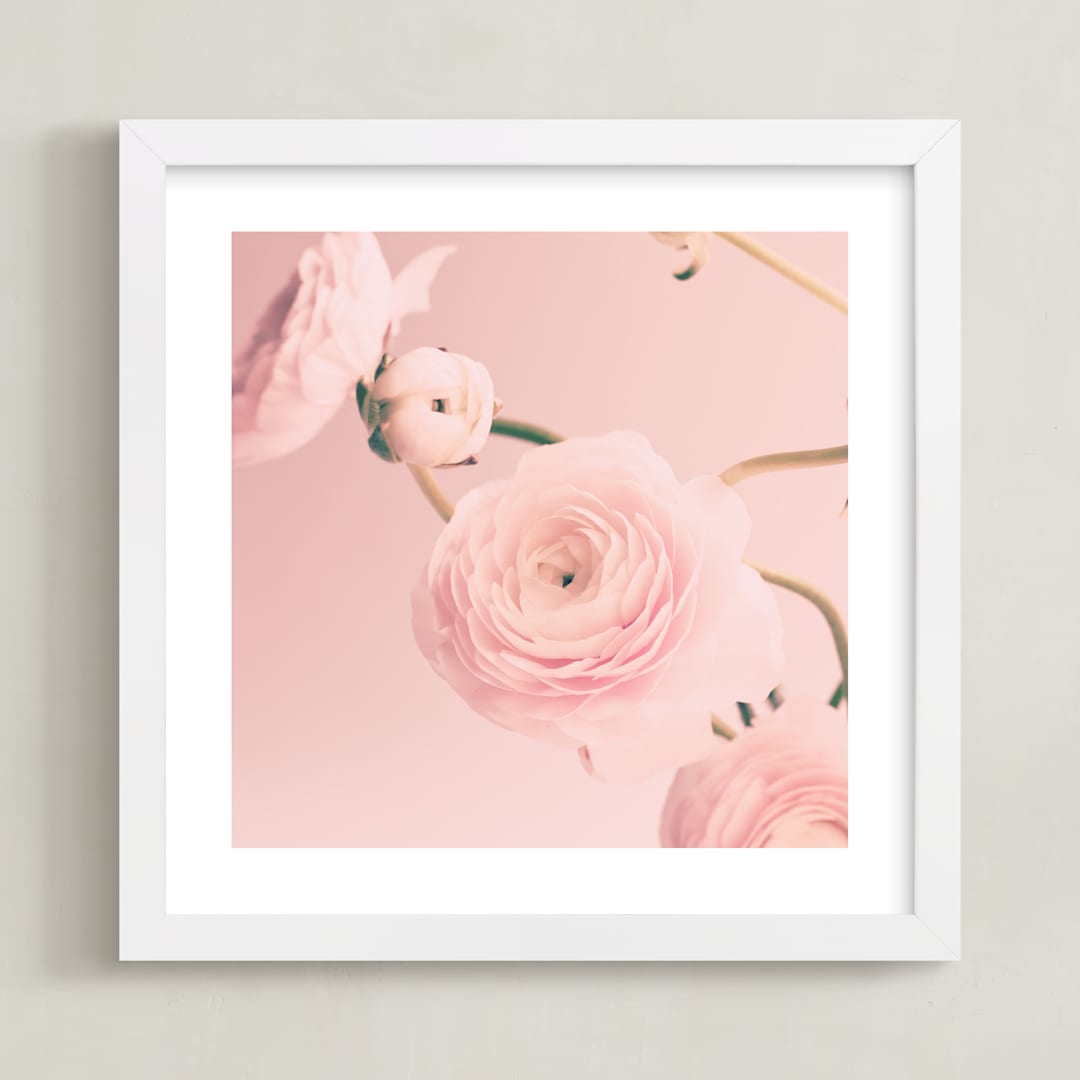 "Cotton Ranunculus" - Art Print in dusty pink by Caroline Mint - Framed