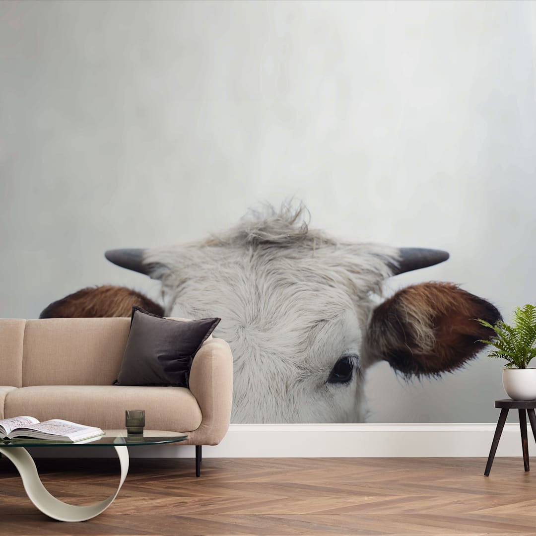 "Wee Staredown" - Wall Mural in White by Amy Carroll - In a Room