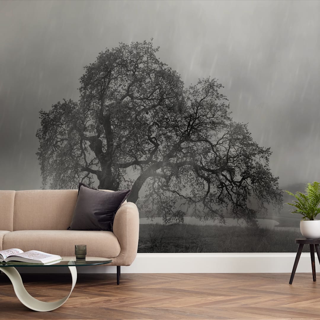 "in the rain" - Wall Mural in charcoal by Crystal Lynn Collins - In a Room