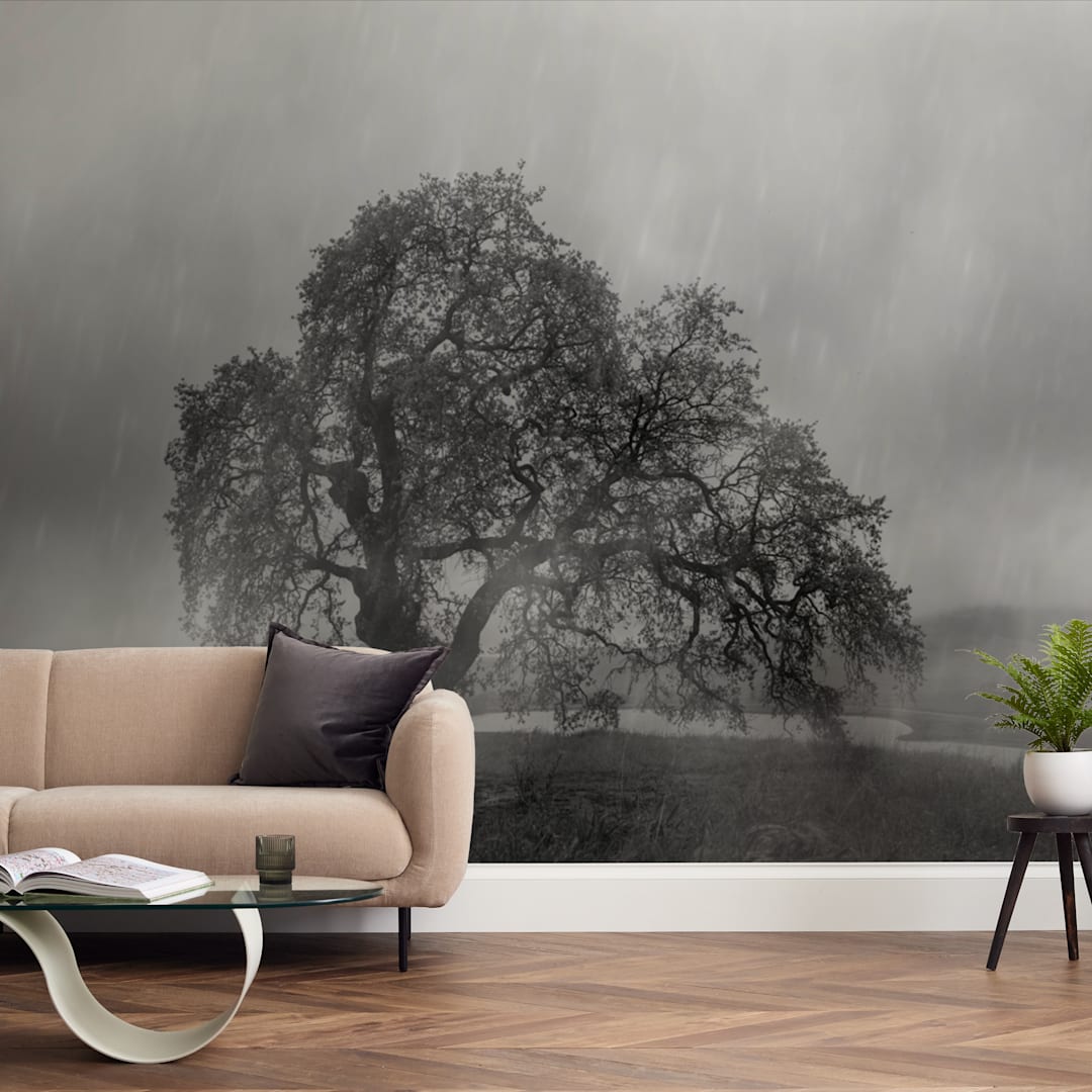 "in the rain" - Wall Mural in charcoal by Crystal Lynn Collins - In a Room