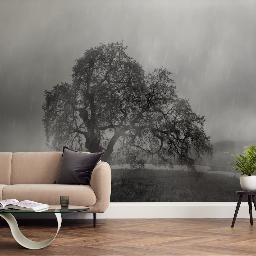 "in the rain" - Wall Mural in charcoal by Crystal Lynn Collins - In a Room