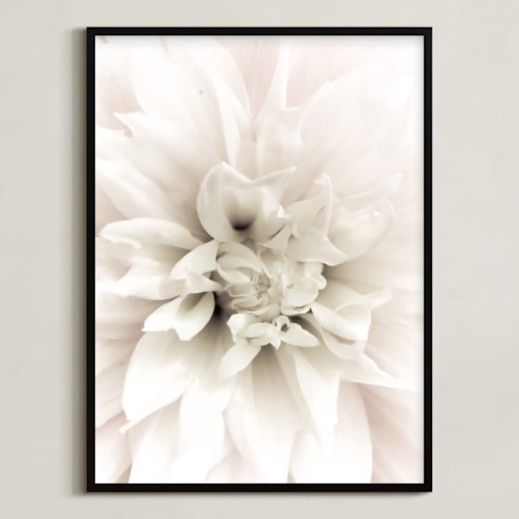 "Soft Dahlia Study 1" - Art Print in dahlia pink by Julie Blackwood - Framed