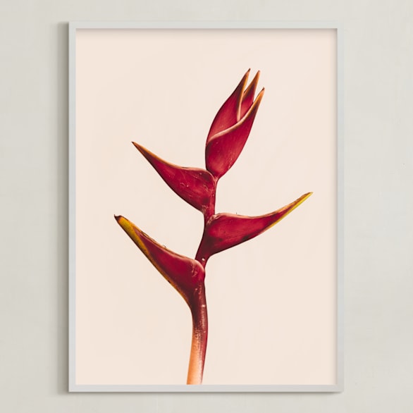 "heliconia 3" - Art Print in Heliconia by Kamala Nahas - Framed