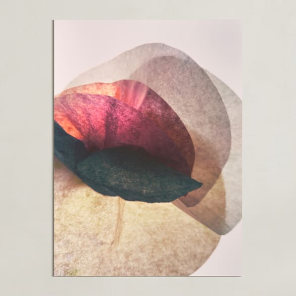 "la floraison" - Art Print in Rose by Karen Kardatzke - Unframed