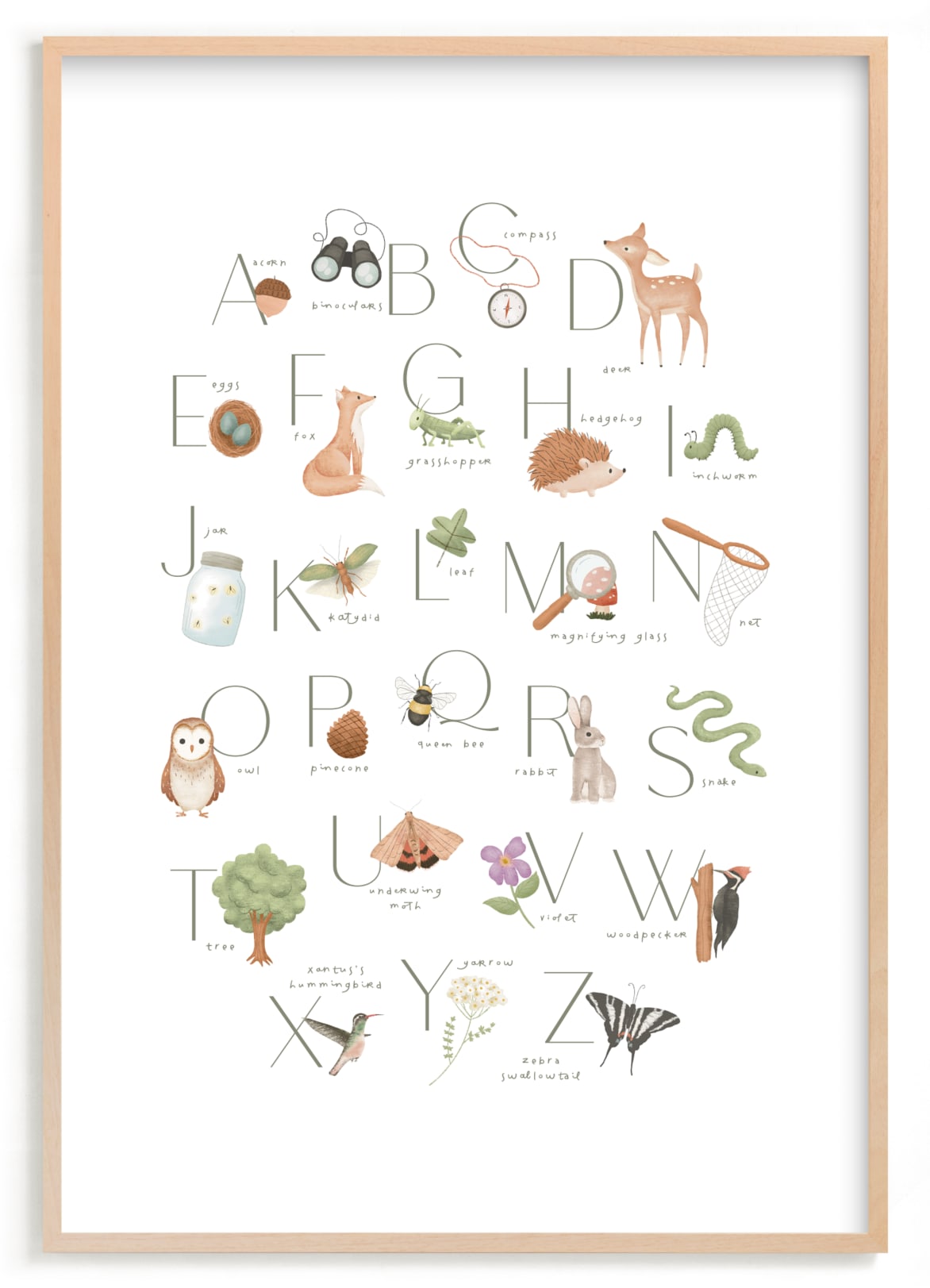 "Woodland Explorer Alphabet" - Art Print by Randi Cirelli in beautiful frame options and a variety of sizes.