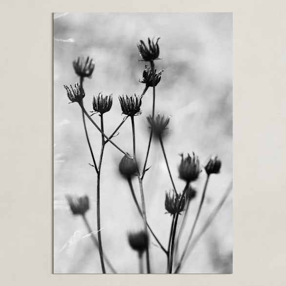 "Autumn detail" - Art Print in Fog by Magdalena Kucova - Unframed