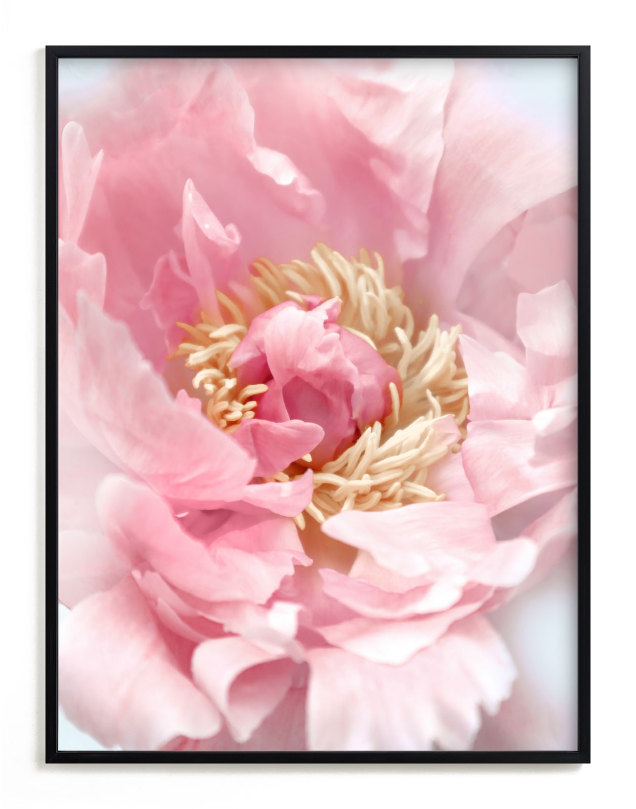 "Bego peony photo" by Rosana Laiz Blursbyai in beautiful frame options and a variety of sizes.