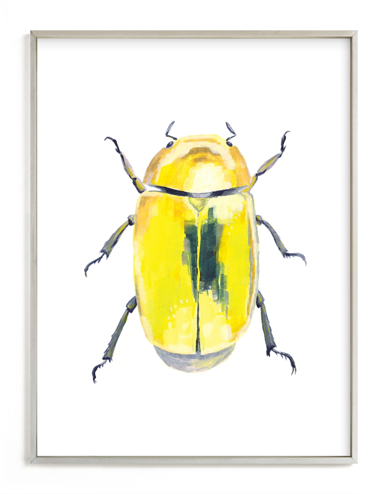 Golden Scarab Beetle