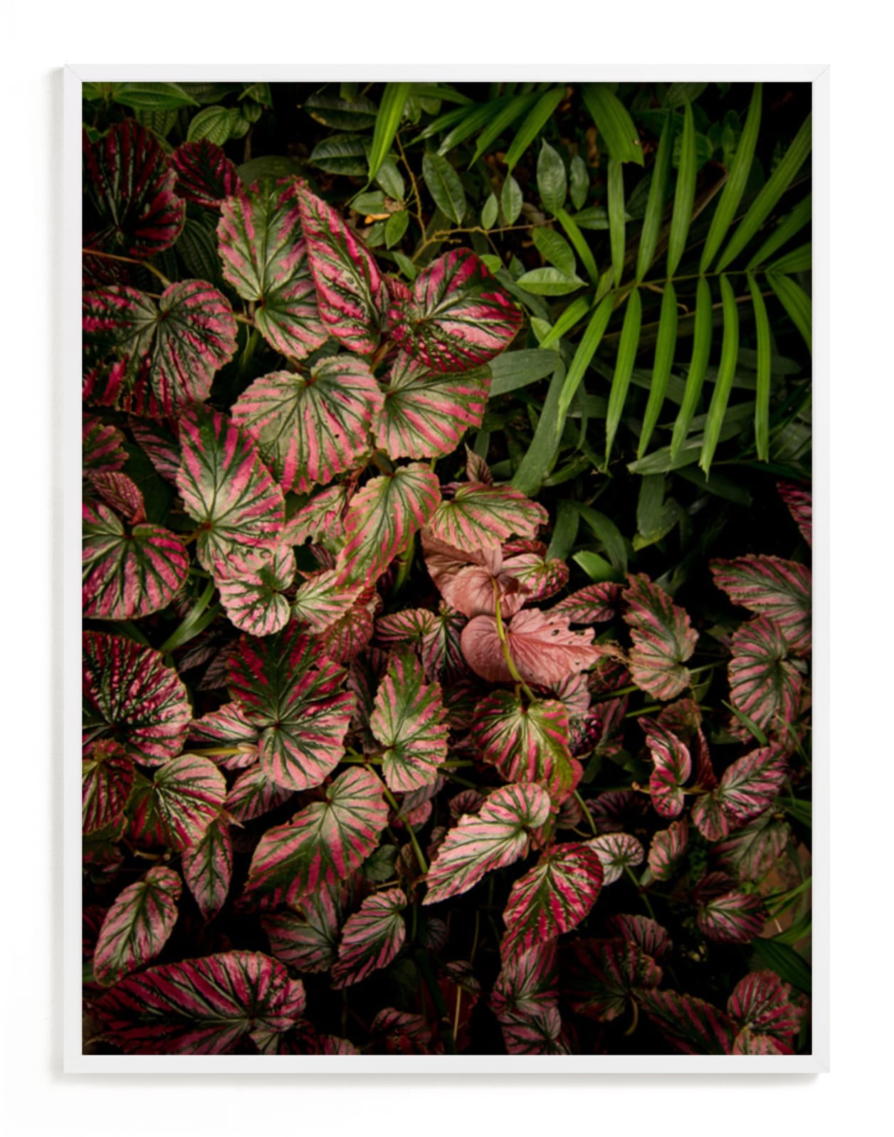 "The Jungle Room - Part 2" - Art Print by Owl and Toad in beautiful frame options and a variety of sizes.