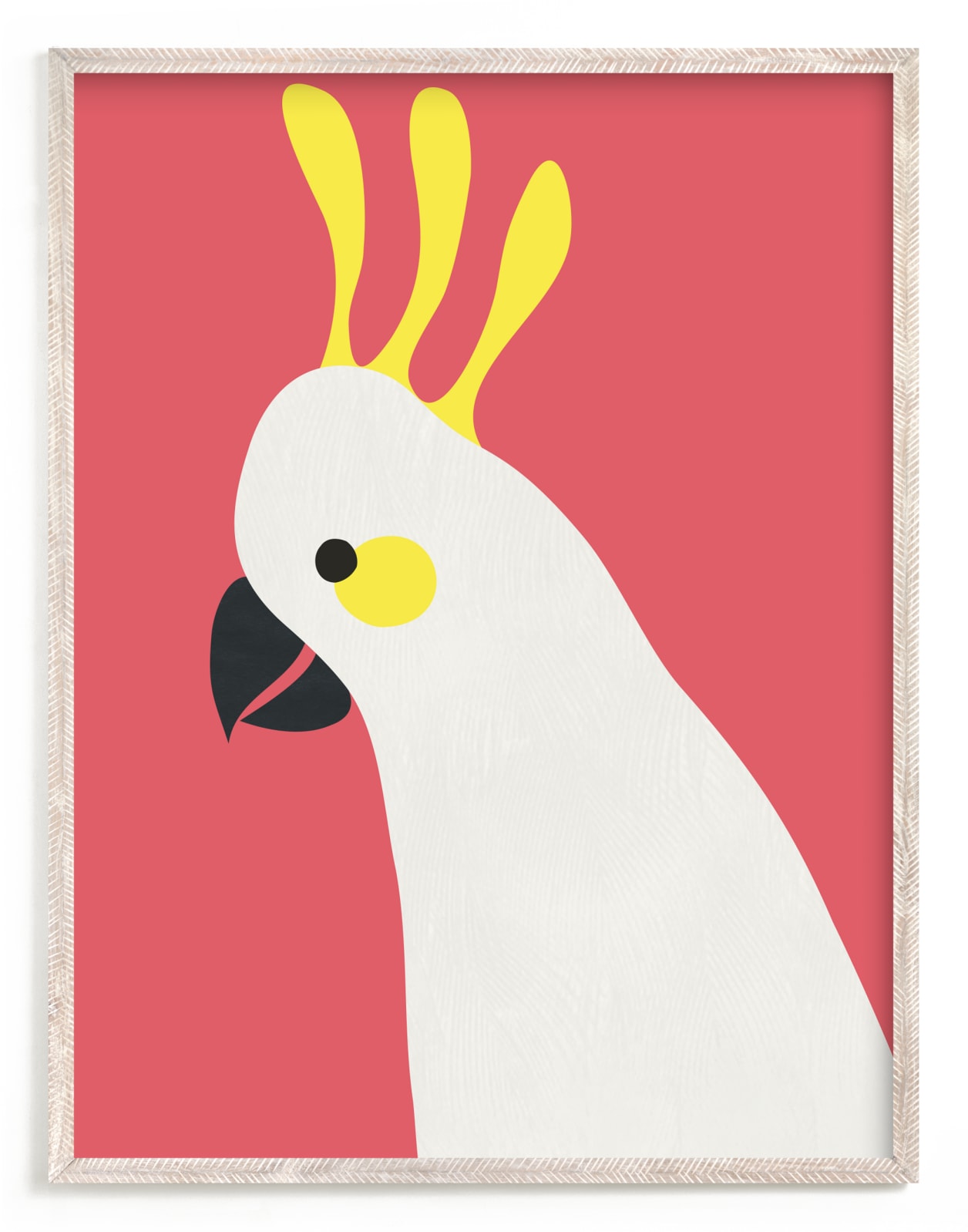 "Hello Cocky! " - Art Print by Catherine Culvenor in beautiful frame options and a variety of sizes.