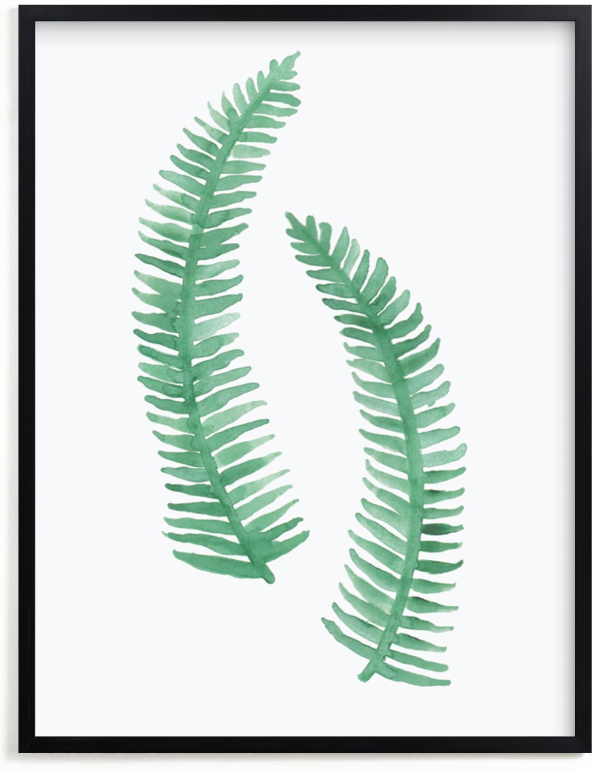 This is a white art by Katharine Watson called Painted Ferns.