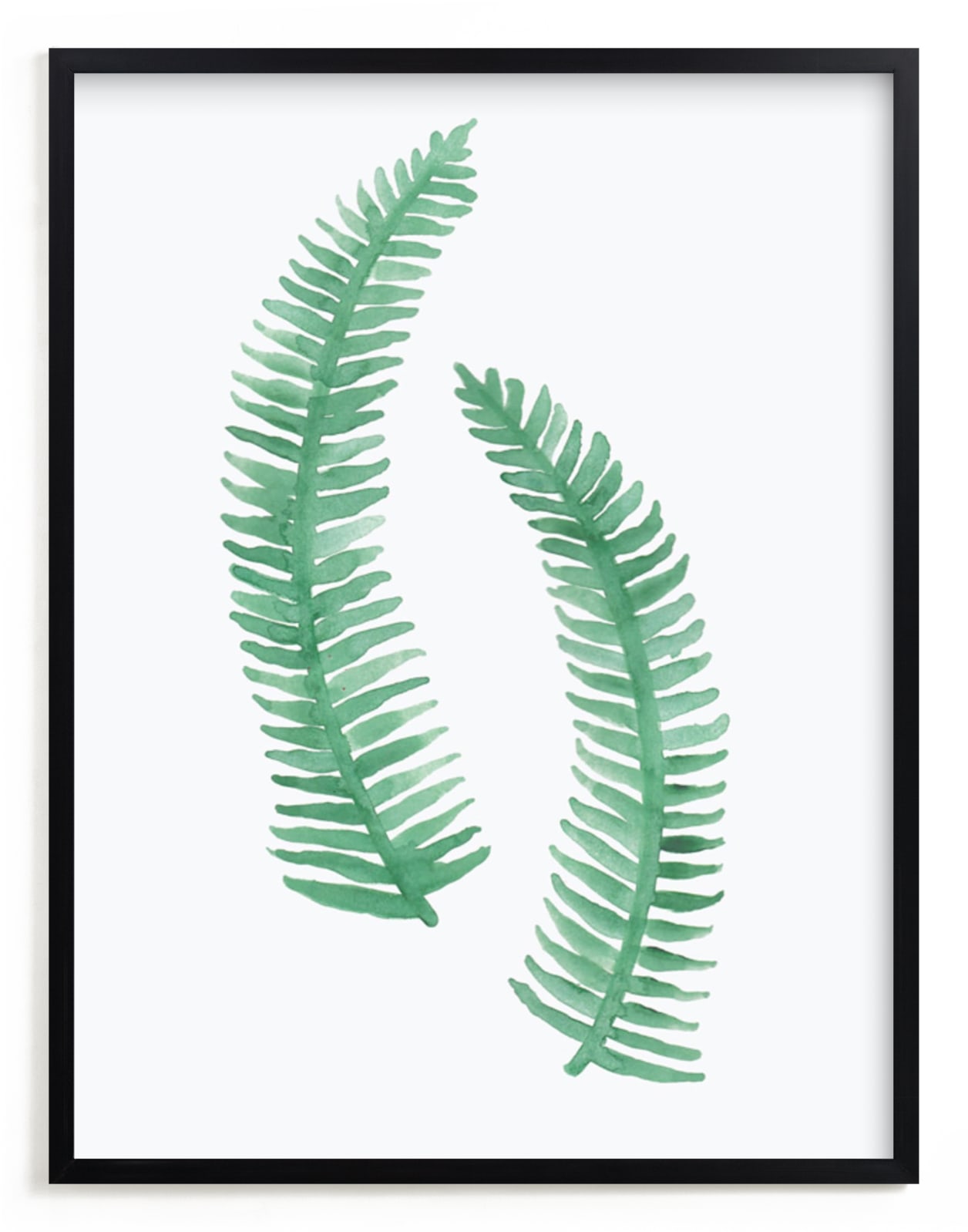 "Painted Ferns" - Limited Edition Art Print by Katharine Watson in beautiful frame options and a variety of sizes.