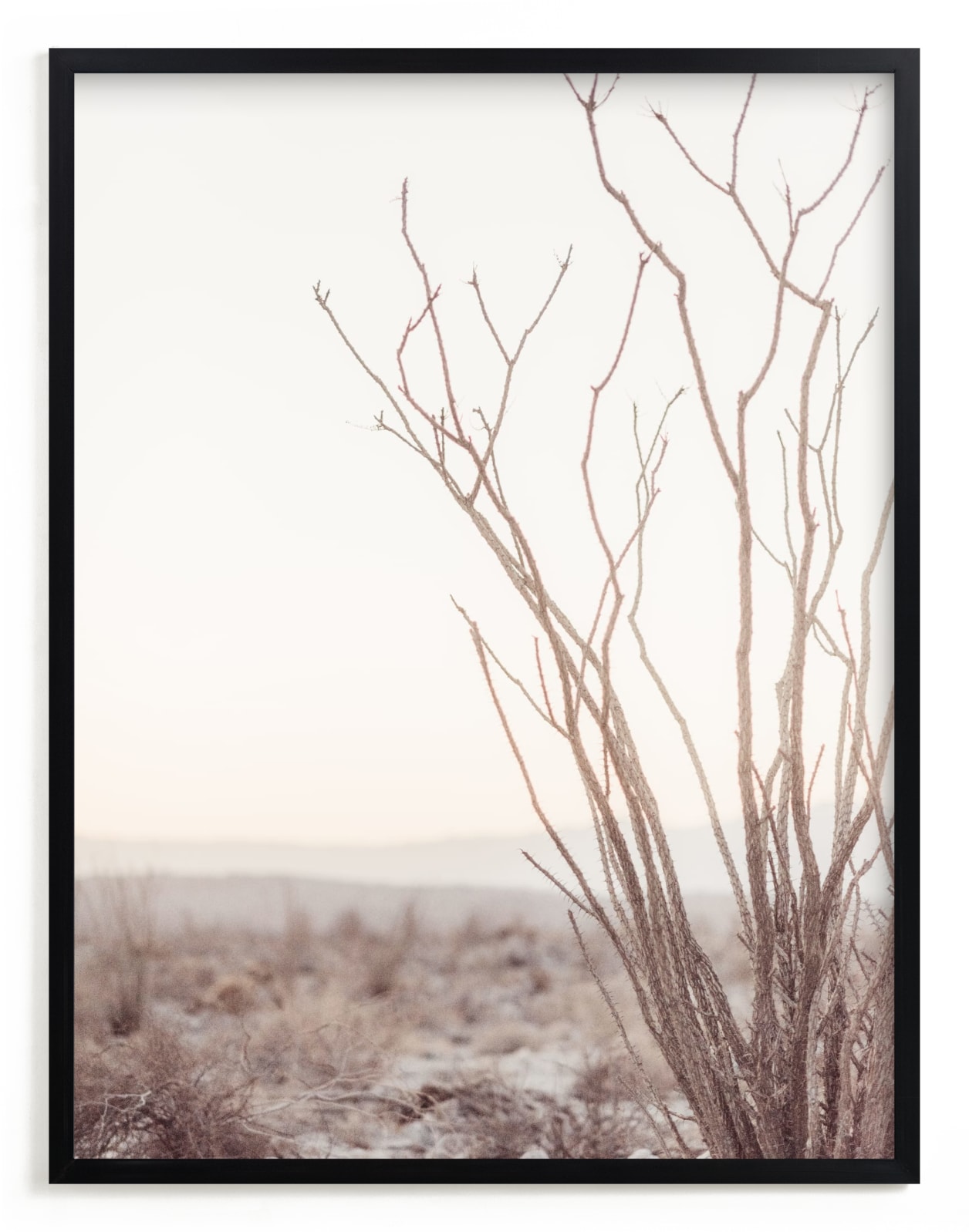Ocotillo I