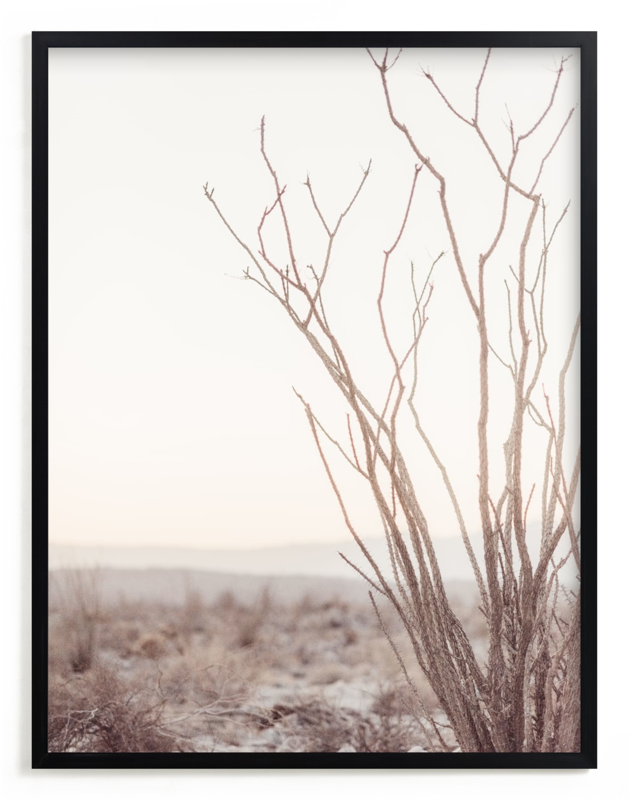 "Ocotillo I" - Art Print by Kamala Nahas in beautiful frame options and a variety of sizes.