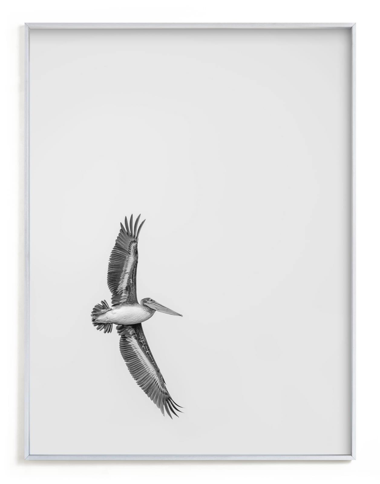 "Gliding Pelican Over Lake" - Limited Edition Art Print by Mary Ann Glynn-Tusa in beautiful frame options and a variety of sizes.