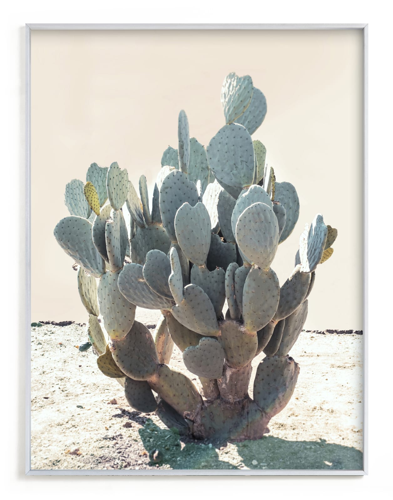 "Blue Cactus" - Limited Edition Art Print by Wilder California in beautiful frame options and a variety of sizes.