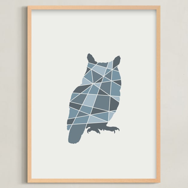 Owl Geometry