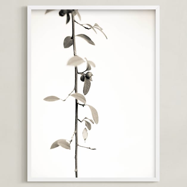 Berry branch