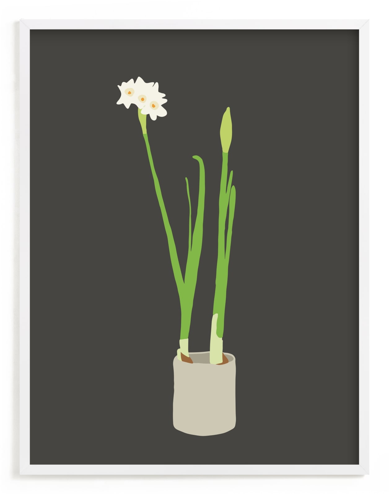 "Paperwhites" - Limited Edition Art Print by Jorey Hurley in beautiful frame options and a variety of sizes.