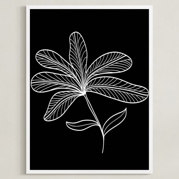 5 leaves