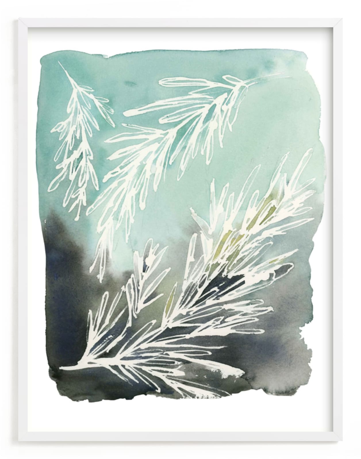 "Sprig" - Art Print by Kelly Ventura in beautiful frame options and a variety of sizes.