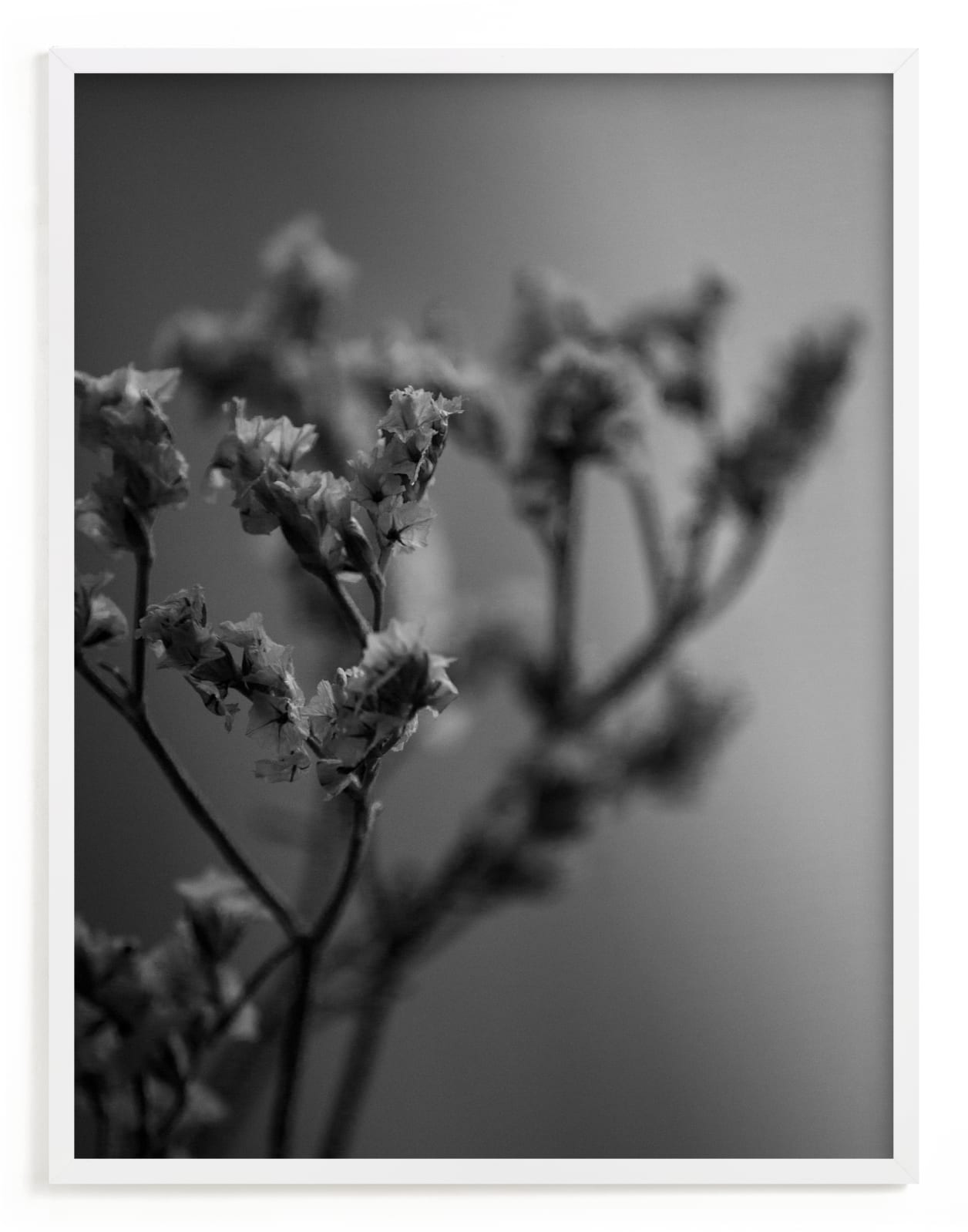 "dried blooms" by Danielle LaRose in beautiful frame options and a variety of sizes.