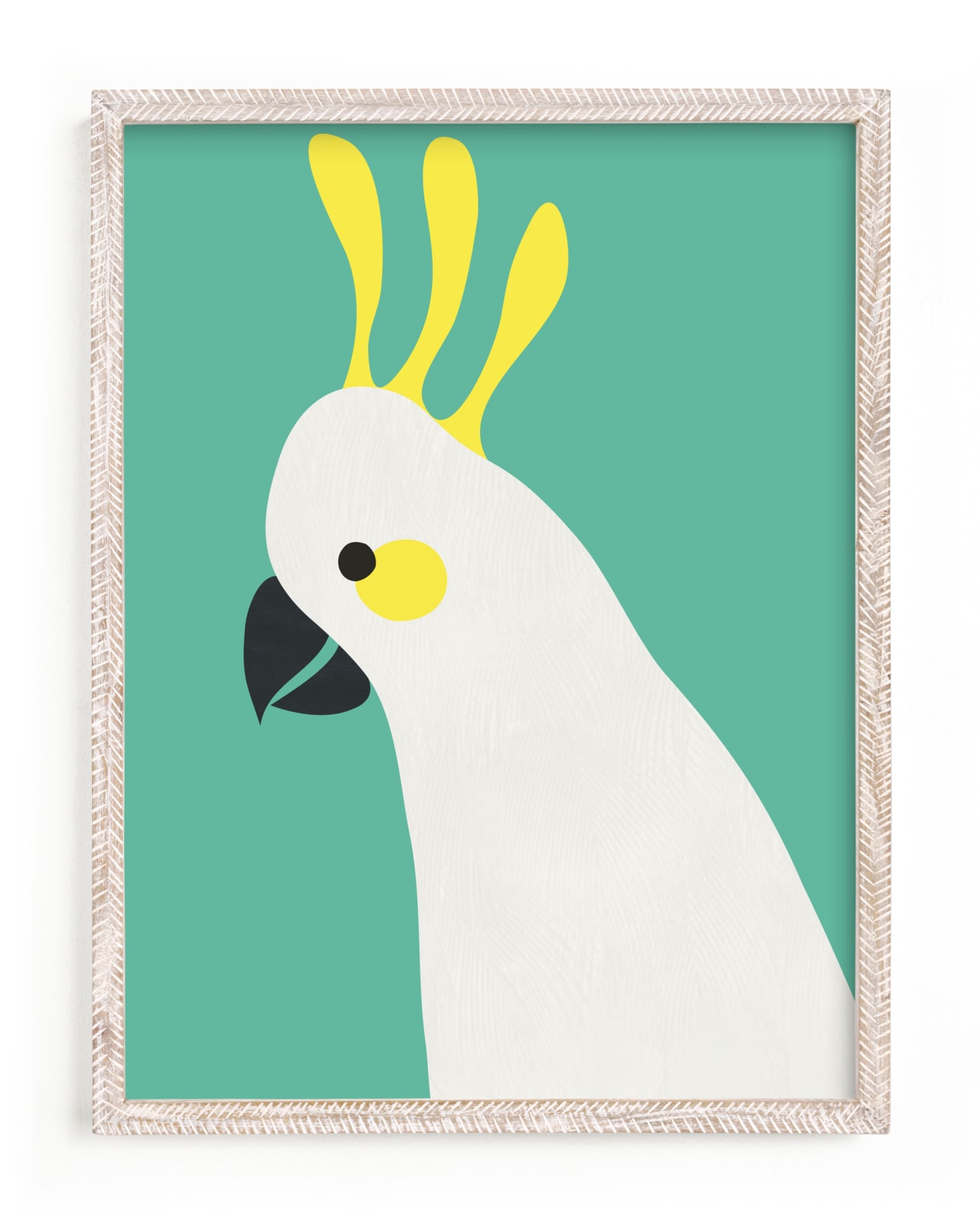 "Hello Cocky! " - Art Print by Catherine Culvenor in beautiful frame options and a variety of sizes.