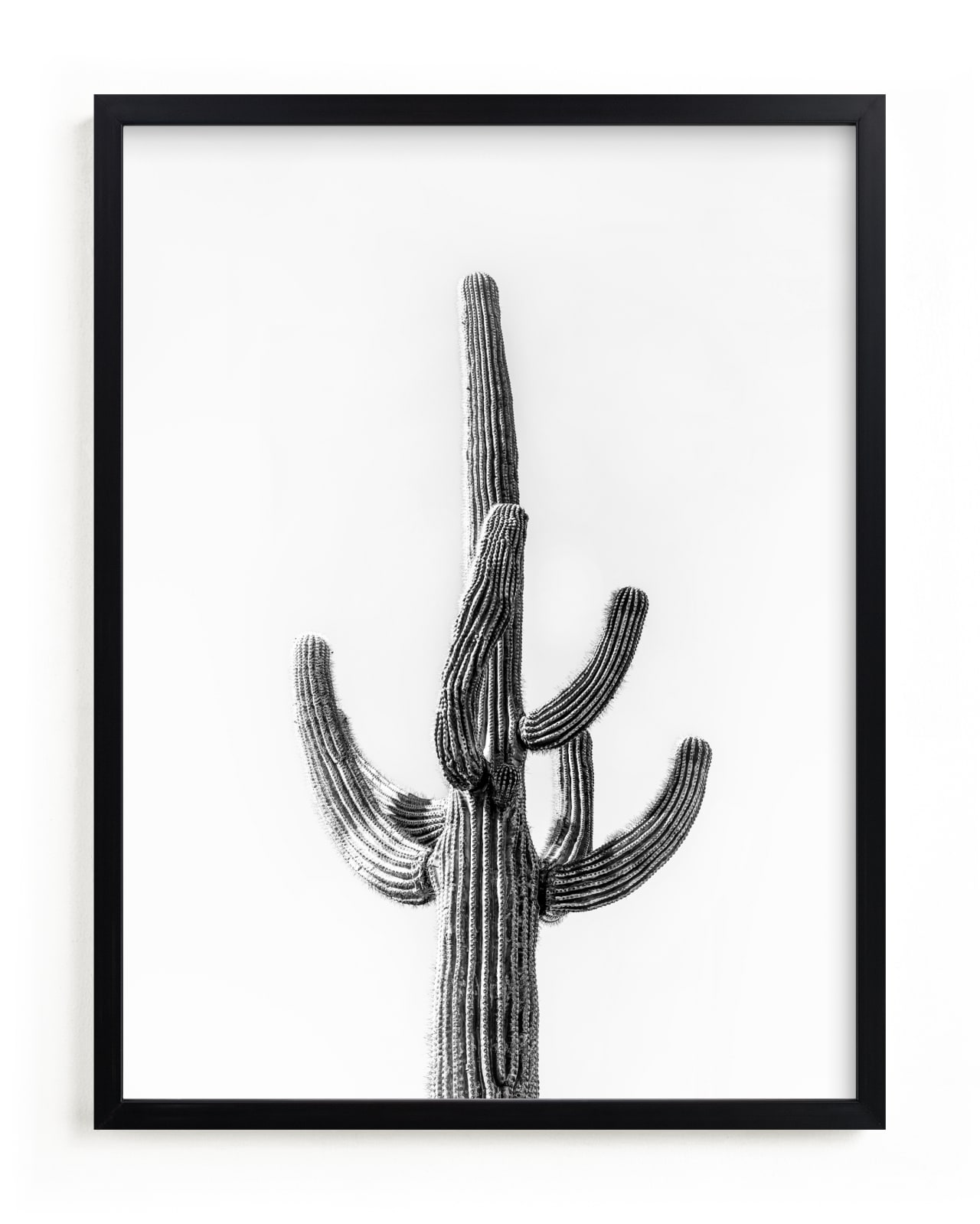 "Lone Cactus" - Limited Edition Art Print by Ellen Schlegelmilch in beautiful frame options and a variety of sizes.