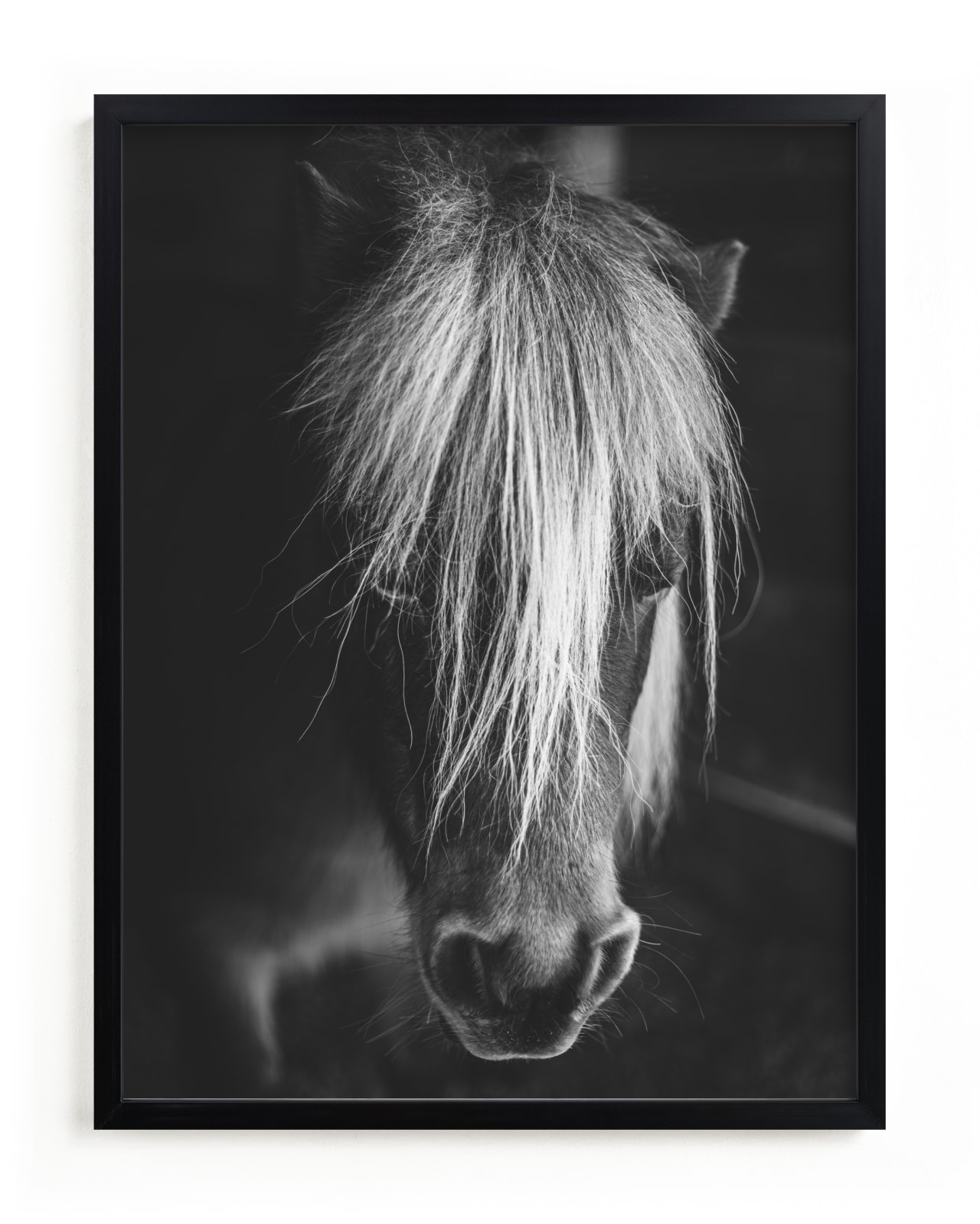 "Solitude Gaze" - Limited Edition Art Print by Jamie Lollback in beautiful frame options and a variety of sizes.