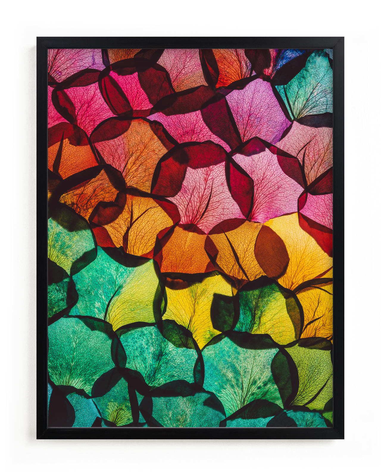 "Rainbow Rose Petals" - Limited Edition Art Print by Elena Kulikova in beautiful frame options and a variety of sizes.